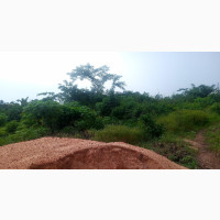 Plot of Land Measure 100by100 for Sale