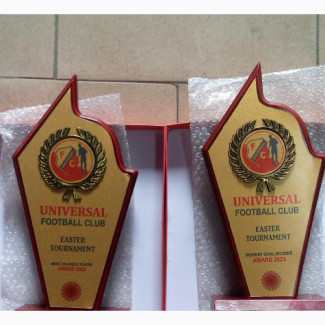 Award With Customise