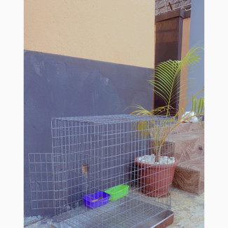 Dog Cages for Dogs and Rabbit