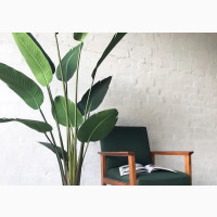 Artificial Plant Indoors and Landscape