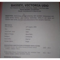Freelancing CV Application for KABS Company