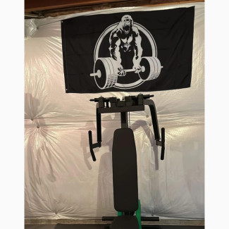 Plate-Loaded Pec Fly and Reverse Delt Machine