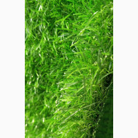 High-Quality Grass Rug Available in Different Thicknesses