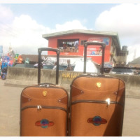 Echolac Box 12000 for Medium Size