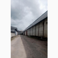 For Lease 1000sqm Wharehouse, Majek, Ajah