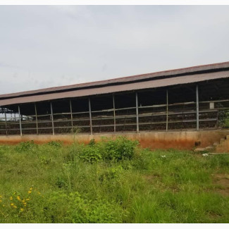 Poultry Farm for Sale