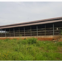Poultry Farm for Sale