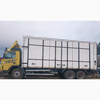 10 Tyres Truck for Efficient and Reliable Hires