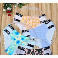 Aj Seamless Panties - 3pcs for 2, 200