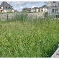 A Plot of Land at Iyano-Sachi, Ojo, For Sale