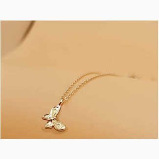 Valentines Gift Necklace Jewelry
