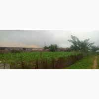 4 Plots of Land for Sale at Ota Efun Area