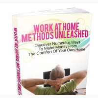 Work at Home Methods Unleashed