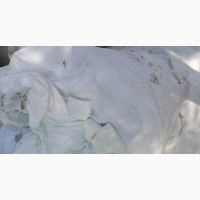 White Stone