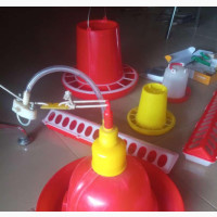 Automatic Bell Drinker - Brand New