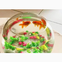 Aquarium Fishbowl Kit With 2 Fishes