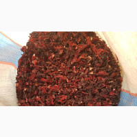 Hibiscus Seeds for Sale