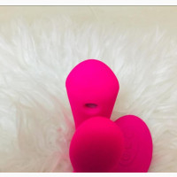 Clitoris Sucker With Remote