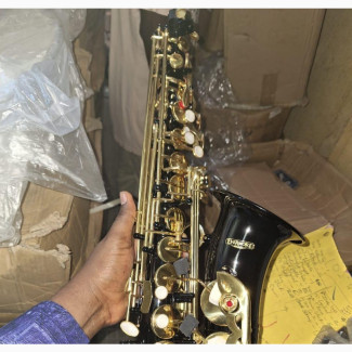 Everemore Professional Alto Sax Black Color
