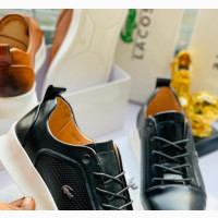 Men Lacoste Shoe