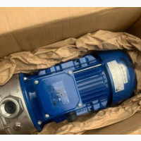 Lowered Stainless Steel Pump