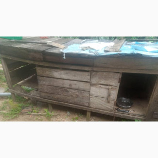 Wooden Dog Cage - Strong and Durable