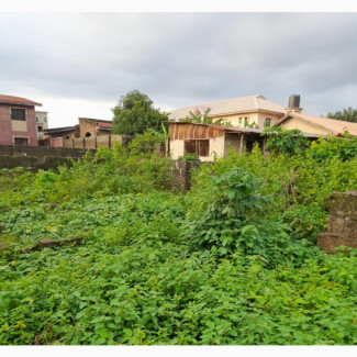 A Plot Of Land @ Tinumola, Dada Estate