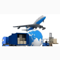 Assistant Manager/Distribution Manager