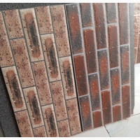 25*50 External Wall Tiles