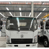 4x2 Light Truck Shacman (8 Tons)