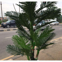 Flower Plant and Planter - Beautify Your Space