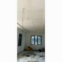 Professional house painter