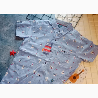 Boys T-Shirt