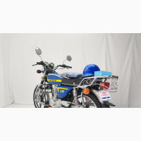 New Twinco Tiger 2023 Blue