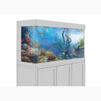 8fit Aquarium with Stand - Complete Set