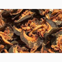 Fresh Oven Dried Snails for Sale