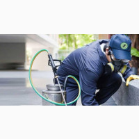 Fumigation Services Available