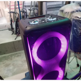 Professional PA System with Wireless Microphones