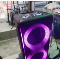 Professional PA System with Wireless Microphones