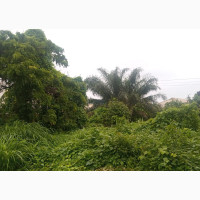 Mixed-Use Land with Deed of Conveyance and Survey