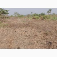 Large Acres of Farmland for Sale in Ilorin