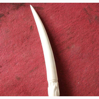 Unique 23 Inches Original Ivory Elephant Tusks