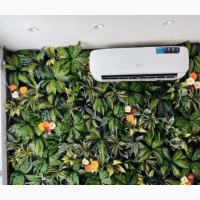 Wall Boxwood Installation