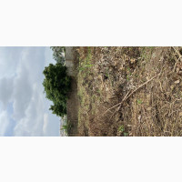 A Plot of Land for Sale at Kemta Housing Estate