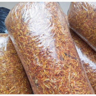 Clean and Sandfree Crayfish Available
