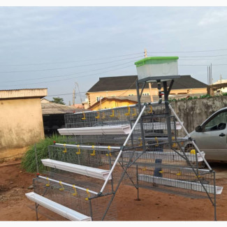 Omotaiwo Poultry Cage and Equipment