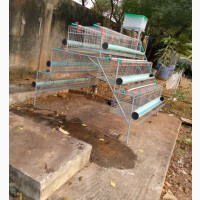 Omotaiwo Poultry Cage and Equipment