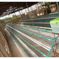 Battery Cage for Birds