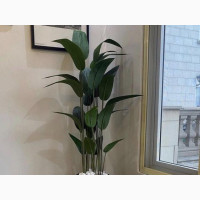 Black Planter Pot With Arificial Palm Tree