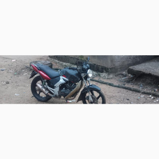 Denstar Taurus 2019 Purple